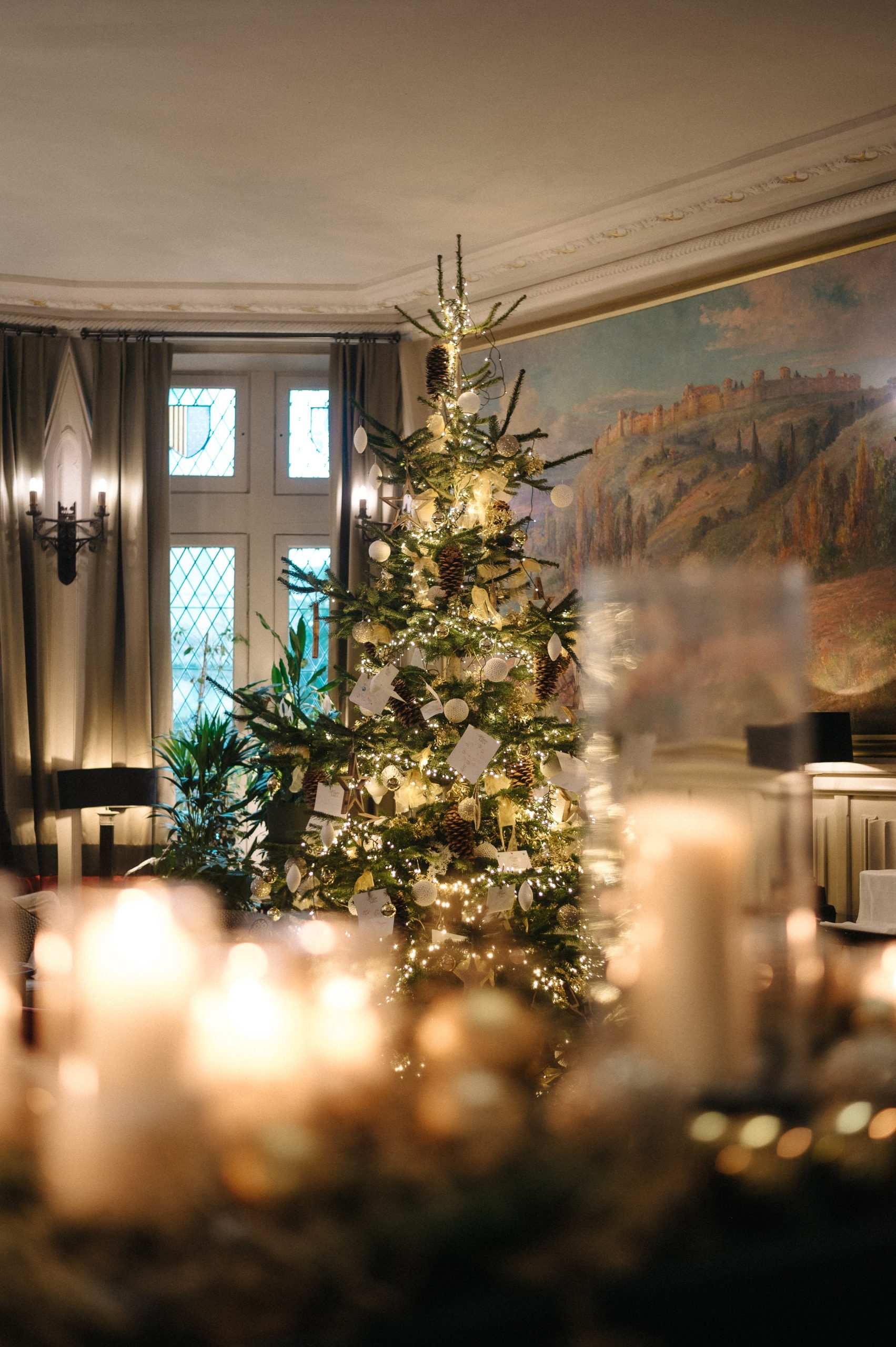 labarbacane 101224 ©LudoCharles 0243 scaled