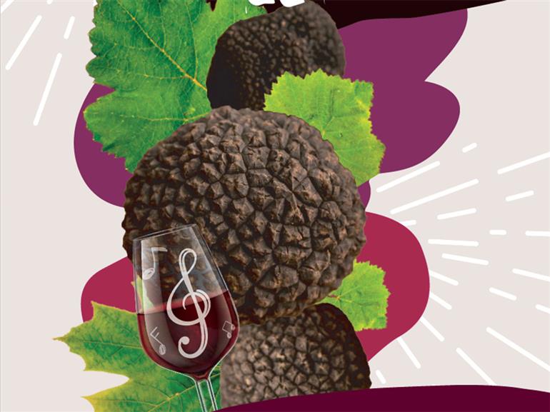 Les Ampelofolies du Cabardes